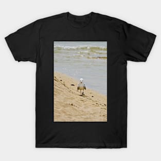 Taking a stroll on the beach T-Shirt